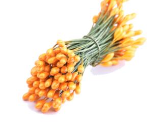 Květinové pestíky 3mm - lesklé Barva: sv. oranžová