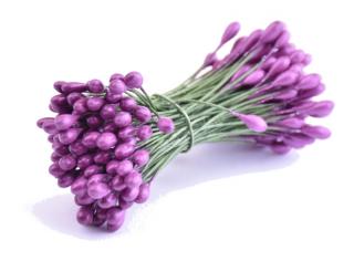 Květinové pestíky 3mm - lesklé Barva: tm. fialová