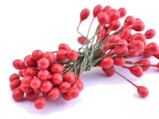 Květinové pestíky 6mm - lesklé Barva: červená