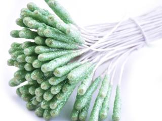 Květinové pestíky s glitry 5x20mm Barva: Zelená