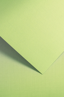 Ozdobný papír Holland zelená 220g, 20ks
