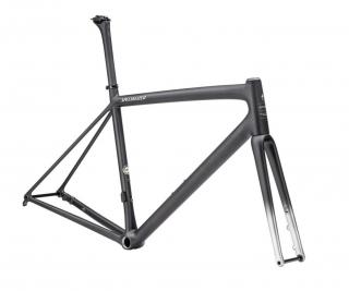 rám silničního kola Specialized Aethos 2023 carbon/flake silver - 49 (154-164cm)