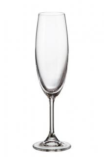 Crystalite Bohemia sklenice na šampaňské Sylvia 220 ml 6KS