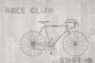 Vinylová tapeta Glamora Bike Club 2A