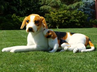 Plyšový pes Bígl se štěňátkem, 106 x 39 x 30cm