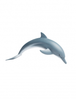 Safari Delfín