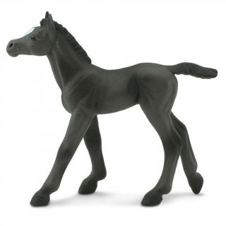 Safari Kůň černý