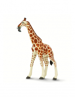 Safari Žirafa síťovaná