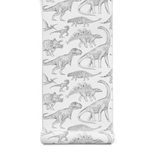 Tapeta DINOSAUŘI - bílá