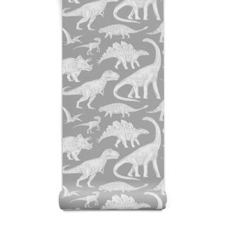 Tapeta DINOSAUŘI - šedá