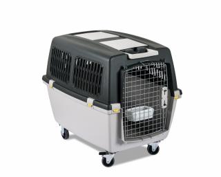 Cestovní box - přepravka pro psy do 30 kg Gulliver IATA 5