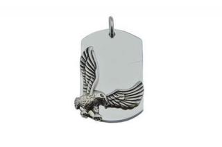 Přívěsek z oceli stříbrný medailon s orlem F349