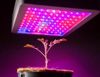 LED GROW LIGHT SJZX 40W - plnospektrální LED světlo určené pro růst rostlin a kvetení