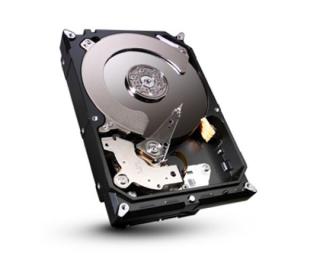 Pevný disk SATA pro vložení do záznamového zařízení a zálohování dat - HDD Velikost: 1TB