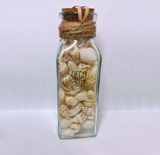 Dekorační mušle ve skleněné láhvi (18cm)