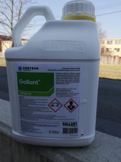 GALLANT 5 l - graminicid