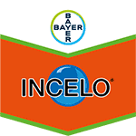 Incelo 1,5 kg Biower 10 l proti mrvce