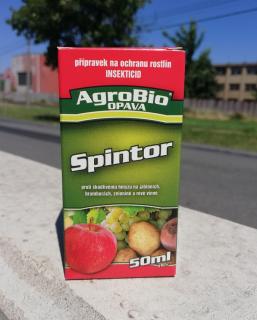 SpinTor 50 ml - na mandelinku