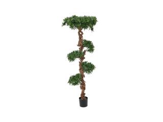 Bonsai palma, 180 cm (Bonsai palma, 180cm)