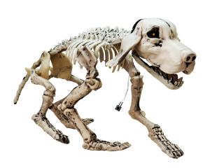 Halloween kostlivec psa, 40cm (Kostlivec psa, svítící oči a zvukové efekty)