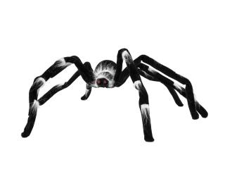 Halloween pavouk, 70 cm (Velký pavouk)