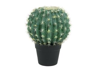 Kaktus v květináči, 34 cm (Kaktus v květináči, 34 cm)