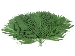 Kokosový palmový list krátký, 90 cm, 12 ks (Palmové listy, délka 90 cm)