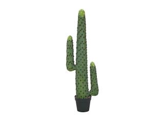 Mexický kaktus zelený, 117 cm (Mexický kaktus zelený, 117 cm)