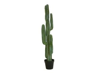 Mexický kaktus zelený, 123 cm (Mexický kaktus zelený, 123 cm)