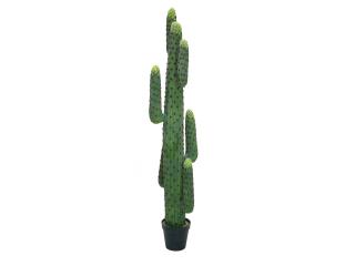 Mexický kaktus zelený, 173 cm (Mexický kaktus zelený, 173 cm)