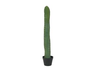 Mexický kaktus zelený, 97 cm (Mexický kaktus zelený, 97 cm)