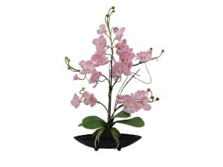 Orchidej aranžmá s květináči, růžová, 60 cm. (Orchidej aranžmá s květináči, růžová, 60 cm.)