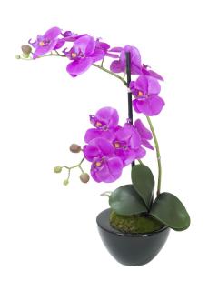 Orchidej fialová v dekoračním květináči, 45 cm (Orchidej fialová v dekoračním květináči, 45 cm)