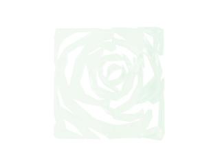 Paravan, vzor růže, čirá, 29 x 29 cm, 4x (Paravan, vzor růže)