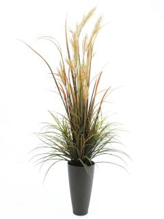 Říční tráva, 175 cm (Říční tráva, 175 cm)