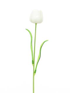 Tulipán bílý – křišťálový, 61 cm, 12 ks (luxusní dekorace)