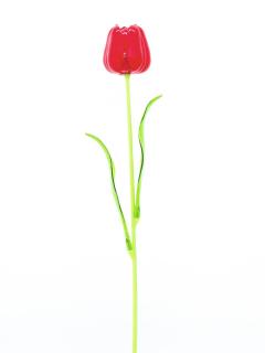 Tulipán červený – křišťálový, 61 cm, 12 ks (Tulipán červený – křišťálový, 61 cm, 12 ks)
