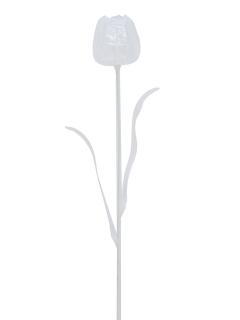 Tulipán čirý – křišťálový, 61 cm, 12 ks (Tulipán čirý – křišťálový, 61 cm, 12 ks)