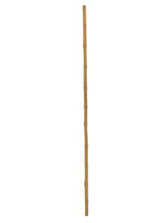 Tyč bambusová, prům.3cm, délka 200cm (Bambusová tyč)