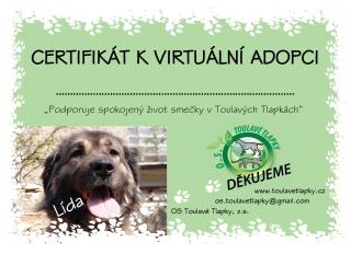 Certifikát k adopci  Lída  certif: 1000,- Kč