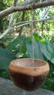 Závěsné kokosové krmítko z Bali, 19 cm