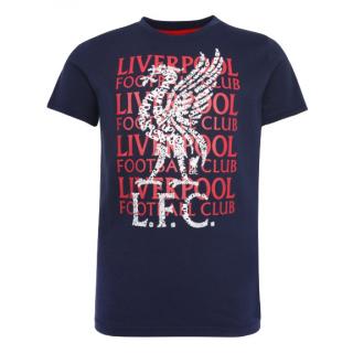 Dětské tričko LIVERPOOL FC Street navy Dětská: 11-12 let