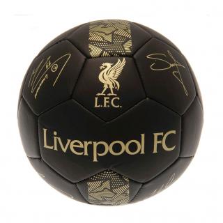 Mini míč LIVERPOOL FC Signature Gold