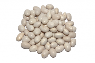 Fazole malá bílá - perlička 500g