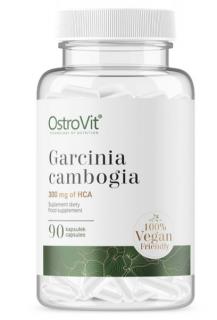 Garcinia Cambogia Vege 90 kapslí (HCA)