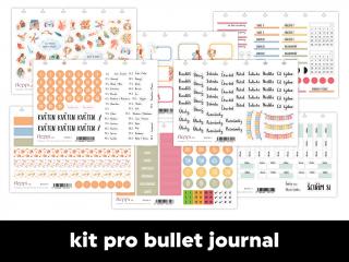 Měsíční samolepkový kit - bullet journal | Květen 2023