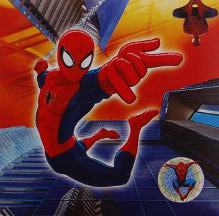 Fotoalbum Disney 200 foto 10x15 cm - Spiderman