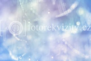 Fotopozadí pro fotografy, Jemný bokeh pavučinka