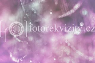 Fotopozadí pro fotografy, Jemný bokeh pavučinka