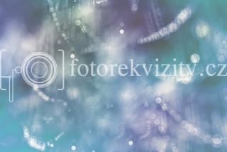 Fotopozadí pro fotografy, Jemný bokeh pavučinka